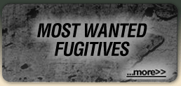 Most Wanted Fugitives